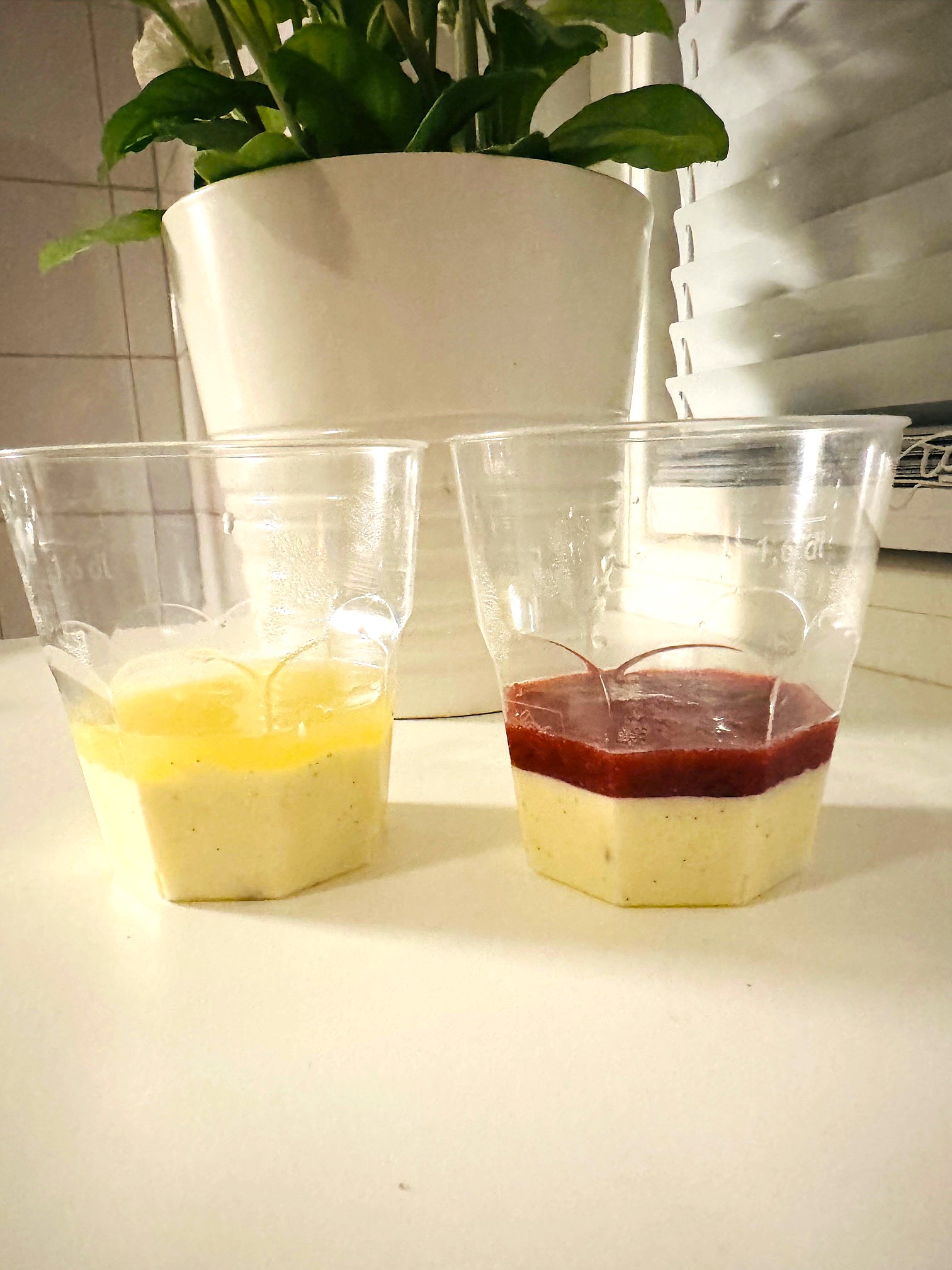 Panna cotta